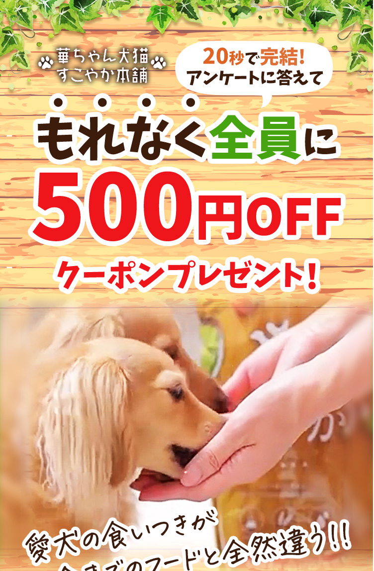 20秒で完結！アンケートに答えてもれなく全員に500円OFFクーポンプレゼント！